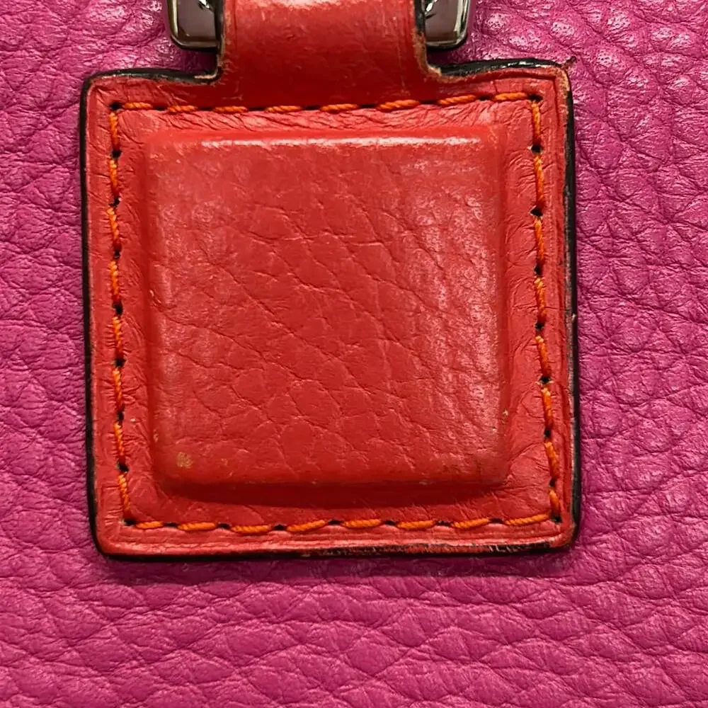 Loewe Alamo Addy Handbag Pink Orange